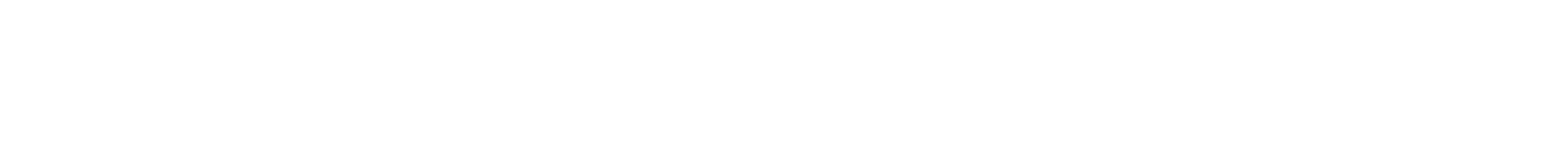 DS Design Studio